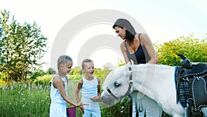 Children, a boy and a girl of seven years, fed a white pony, give to eat carrots. Cheerful, happy family vacation