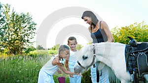 Children, a boy and a girl of seven years, fed a white pony, give to eat carrots. Cheerful, happy family vacation