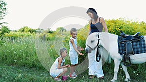 Children, a boy and a girl of seven years, fed a white pony, give to eat carrots. Cheerful, happy family vacation