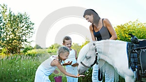 Children, a boy and a girl of seven years, fed a white pony, give to eat carrots. Cheerful, happy family vacation