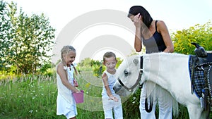 Children, a boy and a girl of seven years, fed a white pony, give to eat carrots. Cheerful, happy family vacation