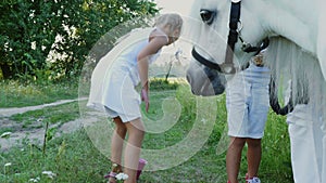 Children, a boy and a girl of seven years, fed a white pony, give to eat carrots. Cheerful, happy family vacation