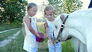 Children, a boy and a girl of seven years, fed a white pony, give to eat carrots. Cheerful, happy family vacation