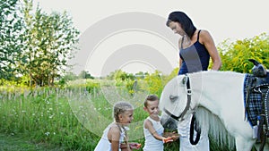 Children, a boy and a girl of seven years, fed a white pony, give to eat carrots. Cheerful, happy family vacation