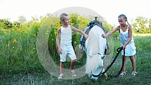 Children, a boy and a girl of seven years, stroking a white pony. Cheerful, happy family vacation. Outdoors, in the