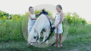 Children, a boy and a girl of seven years, stroking a white pony. Cheerful, happy family vacation. Outdoors, in the