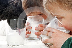 Children and cat drinking milk