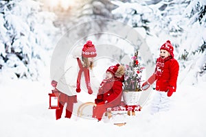 Children with Christmas tree. Snow winter fun for kids.