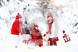 Children with Christmas tree. Snow winter fun for kids.