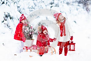 Children with Christmas tree. Snow winter fun for kids.