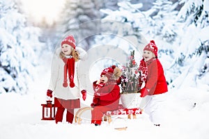 Children with Christmas tree. Snow winter fun for kids.