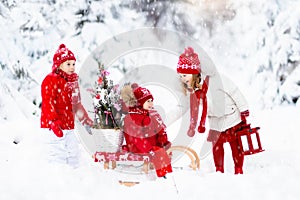 Children with Christmas tree. Snow winter fun for kids.