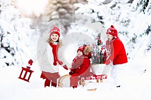 Children with Christmas tree. Snow winter fun for kids.