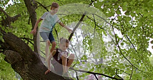 Children climb the tree. Free play kids in park. Benefits of unstructured play.