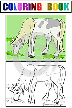 Children coloring book, set. A horse grazes in the meadow.