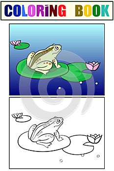 Children coloring and color toad, a frog is sitting on a water lily. Black and white. Cartoon raster