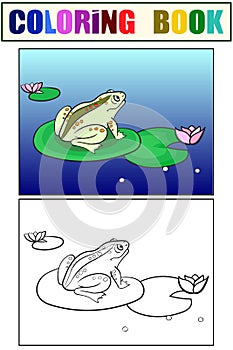 Children coloring and color toad, a frog is sitting on a water lily. Black and white. Cartoon vector
