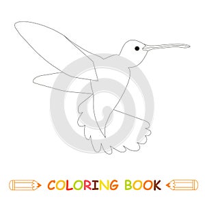 Children coloring page stock vector illustration, flying hummingbird