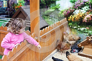 Contact zoo, little kid wathing farm animals.