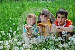 Children in dandelion field