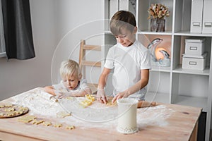 Children diligently make homemade cookies. Home cooking.