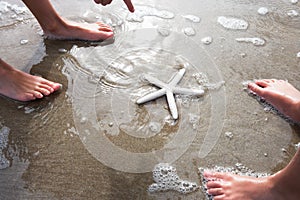 Children Discovering Starfish On Beach