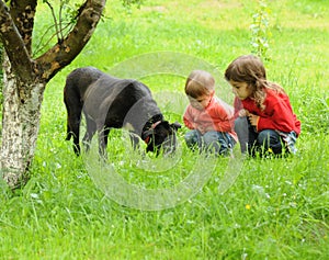 Children with dog