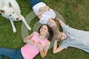 Children with dog on green grass, top view