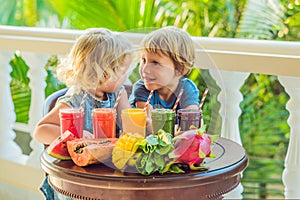 Children drink colorful healthy smoothies.. Watermelon, papaya, mango, spinach and dragon fruit. Smoothies, juices