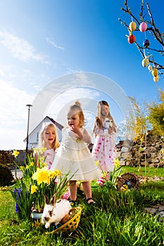 Children on Easter egg hunt with bunny