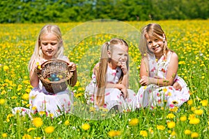 Children on Easter egg hunt with eggs