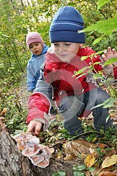 Children explore shelf fungus photo