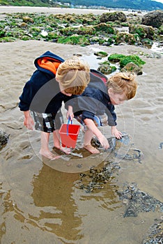 Children Explore Tide Pools with Red Bucket