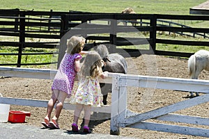 Children and Farm Animals