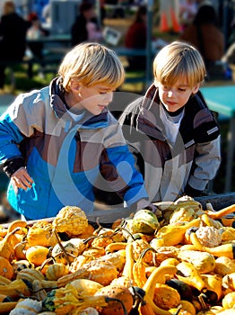 Children at Farmers Market Selecting Vegetables. Vertical