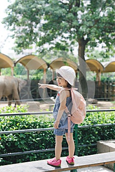 Children feed Asian elephants in tropical safari park during sum