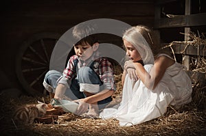 Children feed kittens milk