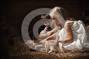 Children feed kittens milk