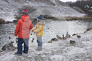 Children Feeding Ducks