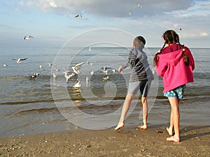 Children Feeding Gulls