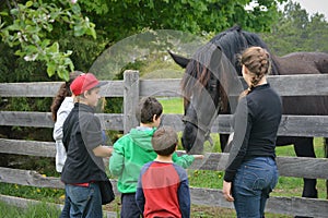 Children Feeding Horse