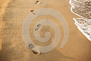 Children footprints in the sand. Human footprints leading away from the viewer. A row of footprints in the sand on a beach in the