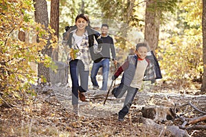 Children in a forest running to camera, father looking on