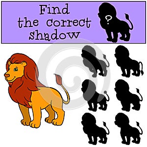 Children games: Find the correct shadow. Cute beautiful.
