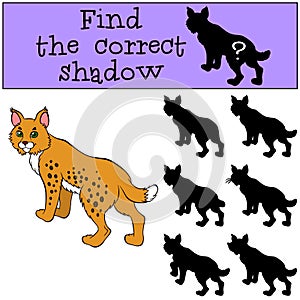 Children games: Find the correct shadow. Cute beautiful lynx.