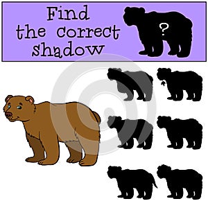 Children games: Find the correct shadow. Cute brown bear.