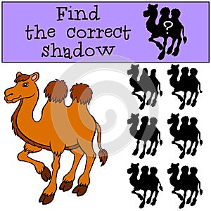 Children games: Find the correct shadow. Cute camel.