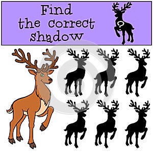 Children games: Find the correct shadow. Cute deer.