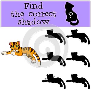 Children games: Find the correct shadow. Cute little baby tiger