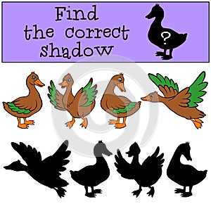 Children games: Find the correct shadow. Ducks.